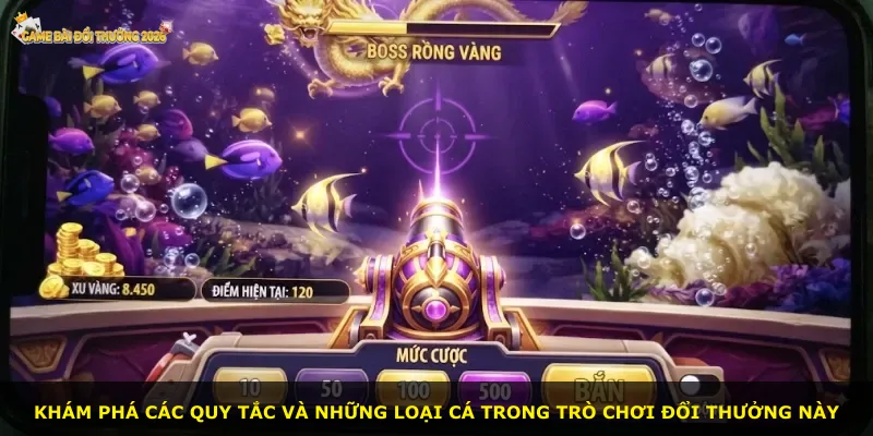 Khám phá các quy tắc và những loại cá trong trò chơi đổi thưởng này