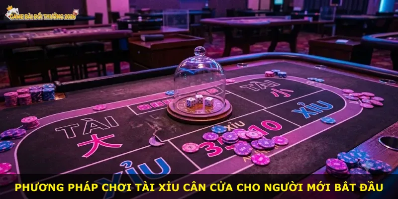 Phương pháp chơi tài xỉu cân cửa cho người mới bắt đầu